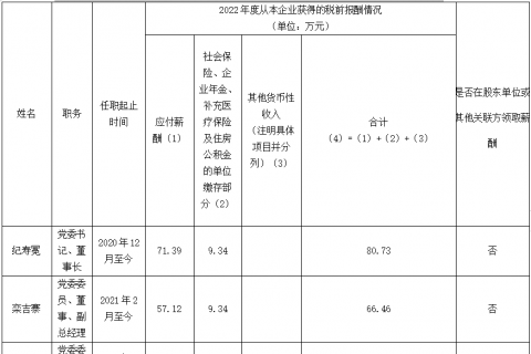 裕龙发展公司企业负责人2022年度薪酬信息披露表}