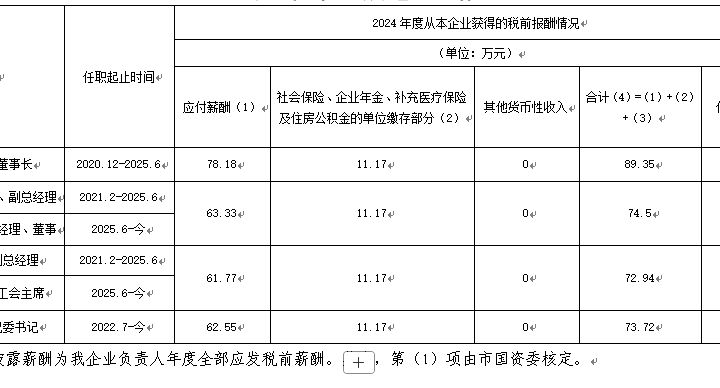 裕龙发展公司企业负责人2024年度薪酬信息披露表