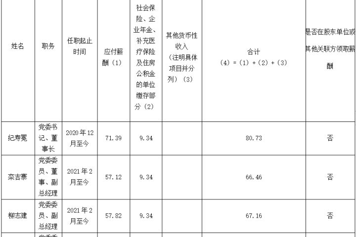 裕龙发展公司企业负责人2022年度薪酬信息披露表
